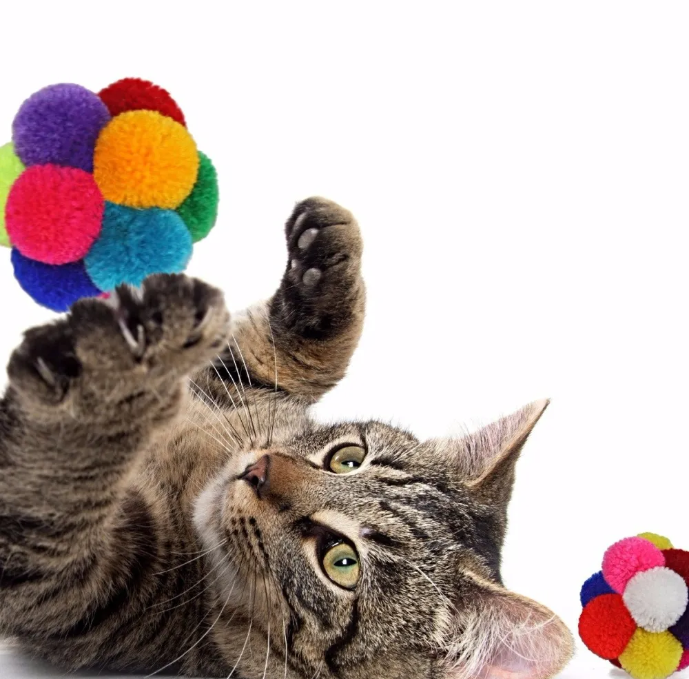 Goli Design Toys | Toys^Catomic Catnip Infused Pom Pom Ball Cat Toy