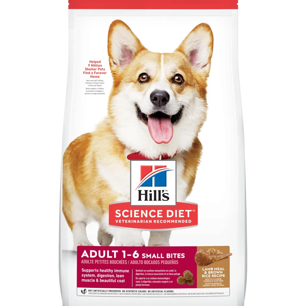 Hill's Science Diet Dry Food^Adult Small Bites Lamb Meal & Brown Rice Dry Dog Food, 4.5-lb