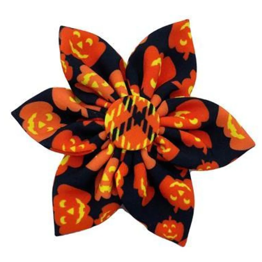 Huxley & Kent Apparel & Accessories | Apparel & Accessories^Pet Pinwheel, Plaid-O-Lantern, Small