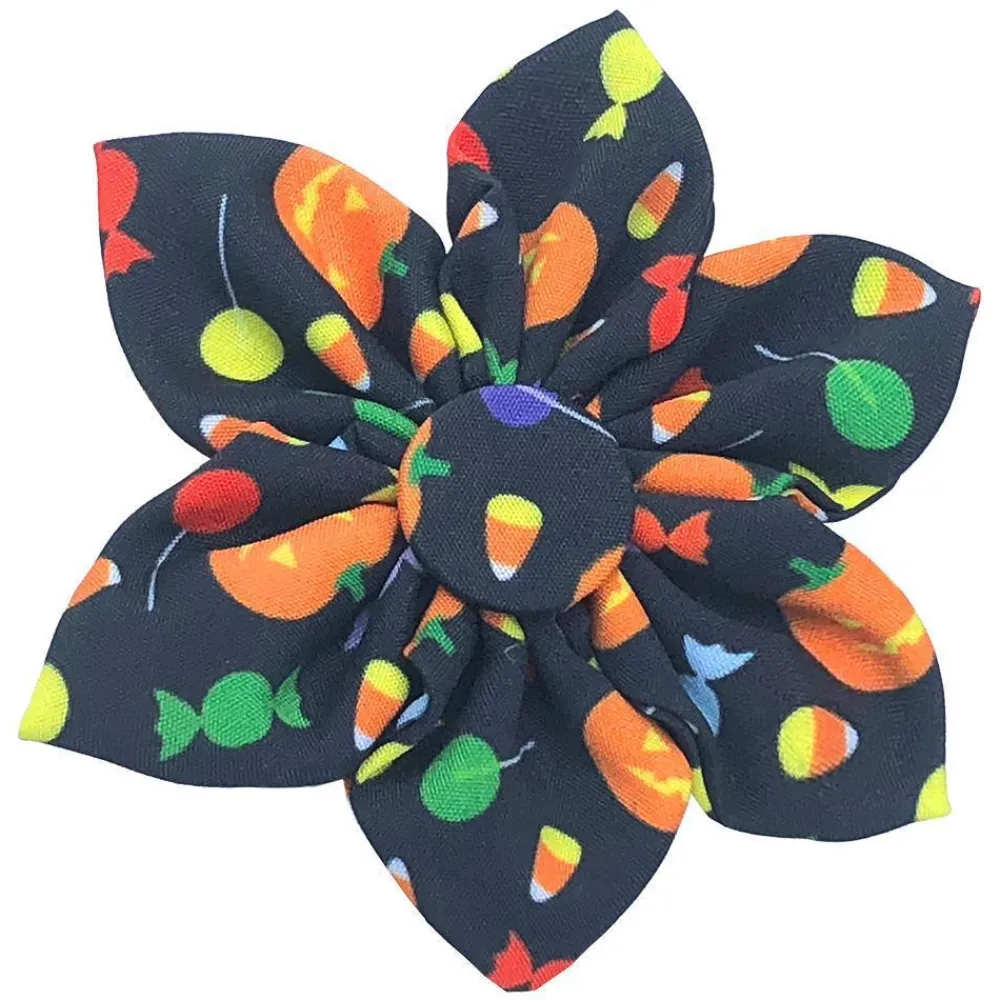 Huxley & Kent Apparel & Accessories | Apparel & Accessories^Pet Pinwheel, Trick Or Treat, Small