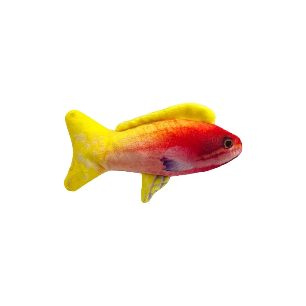 Huxley & Kent Toys | Toys^Rainbow Guppy Cat Toy