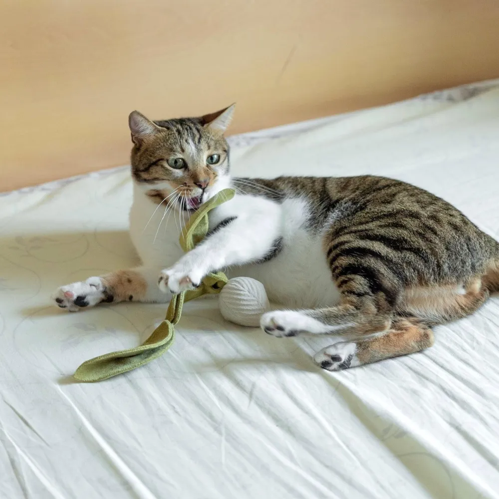 Lambwolf Collective Toys | Toys^Radish Cat Toy, Cream, Small