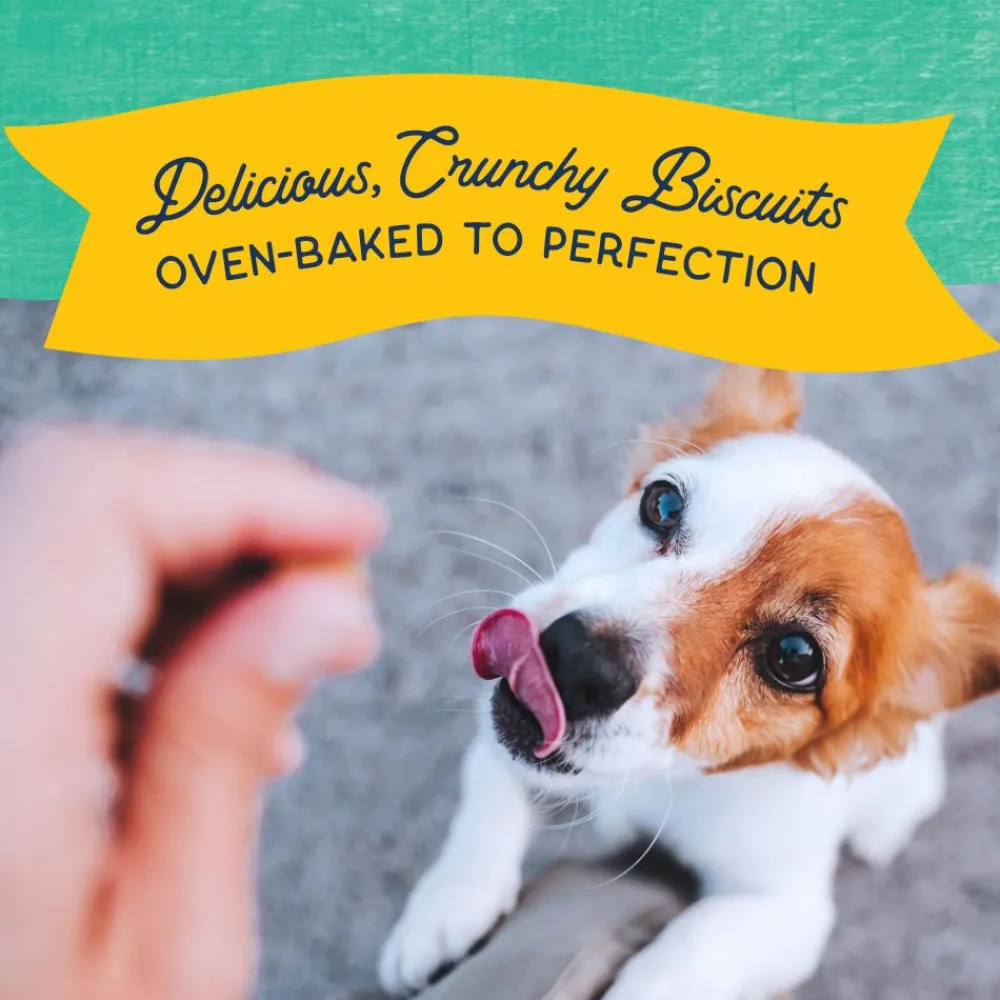 Natural Balance Pet Foods Biscuits & Crunchy Treats^Natural Balance Rewards Crunchy Biscuits Bite-Size with Real Chicken Small Breed Dog Treats, 8-oz