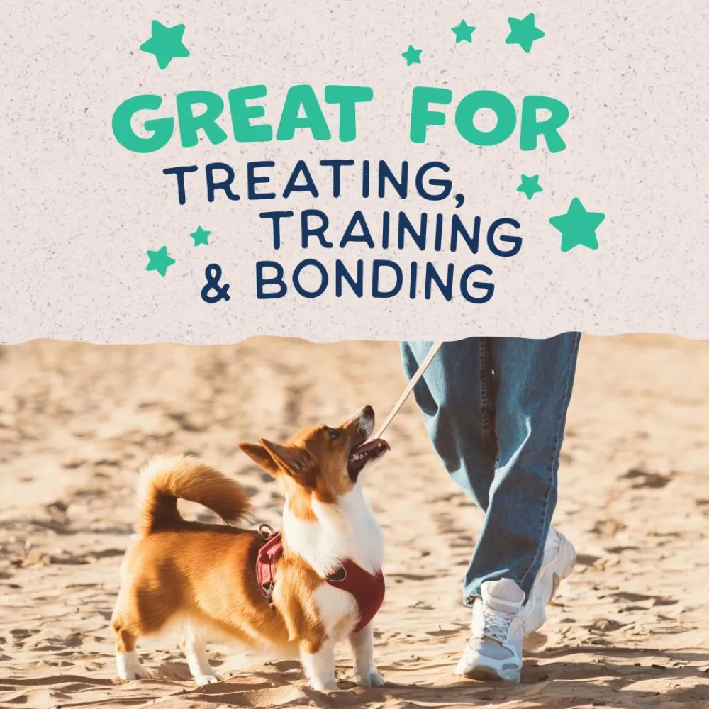 Natural Balance Pet Foods Biscuits & Crunchy Treats^Natural Balance Rewards Crunchy Biscuits with Real Chicken Dog Treats, 14-oz