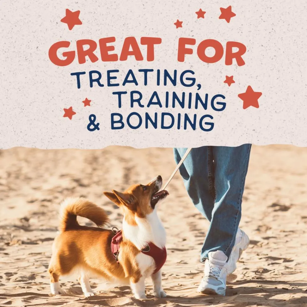 Natural Balance Pet Foods Biscuits & Crunchy Treats^Natural Balance Rewards Crunchy Biscuits with Real Salmon Dog Treats, 14-oz