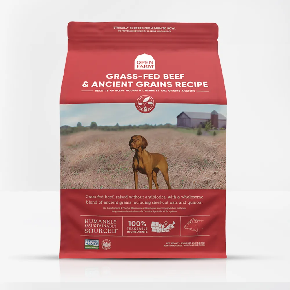 Open Farm Dry Food^Grass-Fed Beef & Ancient Grains Recipe Dry Dog Food, 4-lb