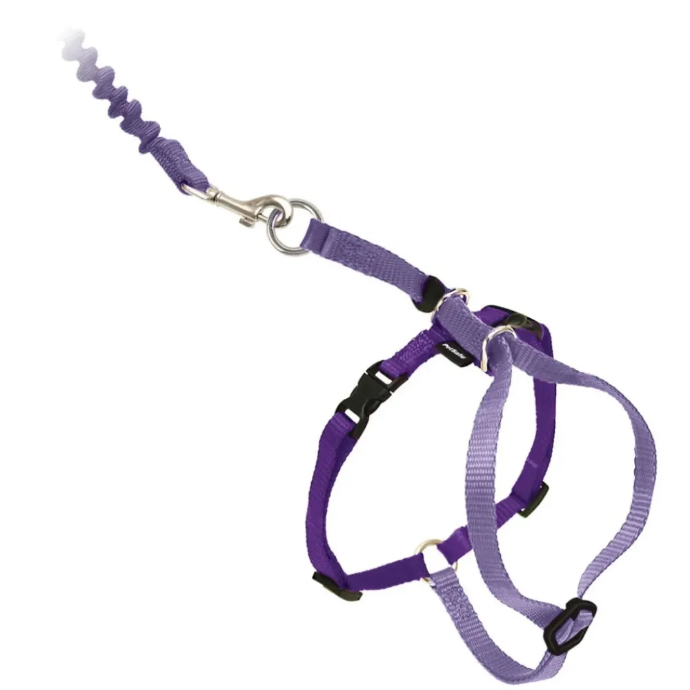 Petsafe Leashes & Collars | Leashes & Collars^Come With Me Kitty Harness & Bungee Cat Leash, Lilac/Deep Purple, Medium