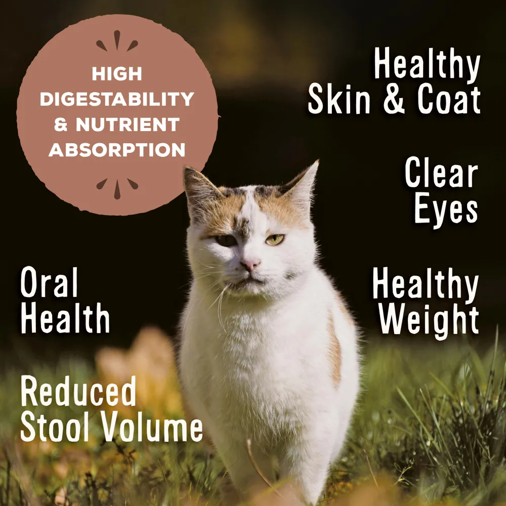 Primal Pet Foods Frozen Food^Primal Raw Frozen Nuggets Beef & Salmon Formula Cat Food, 3-lb