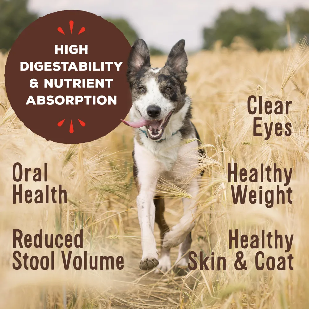 Primal Pet Foods Frozen Food^Primal Raw Frozen Nuggets Pork Formula Dog Food, 3-lb