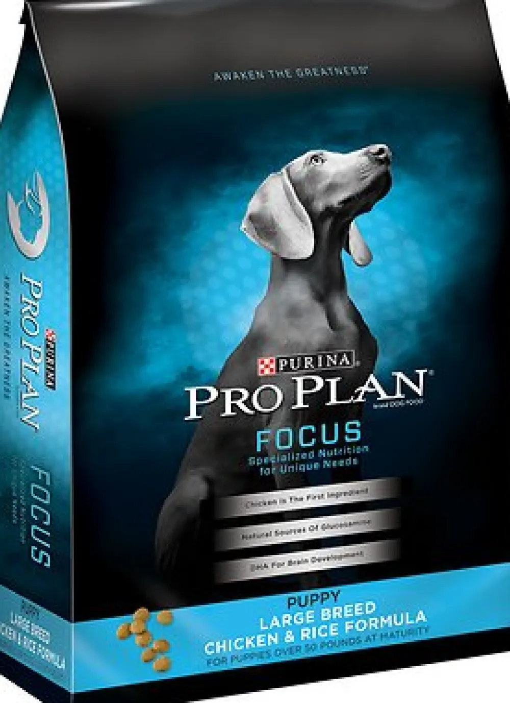 Purina Pro Plan Dry Food^Focus Puppy Large Breed Formula Dry Dog Food, 18-lb