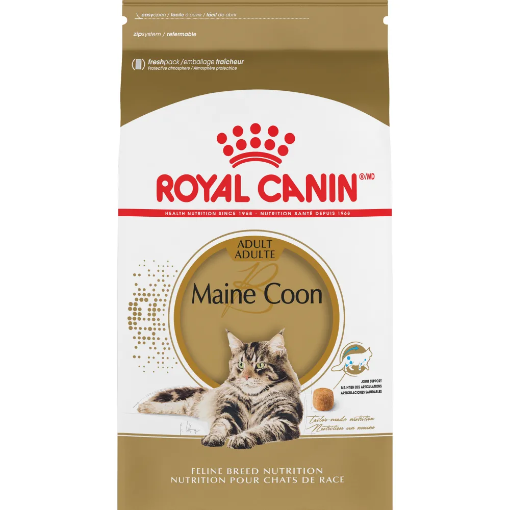 Royal Canin Dry Food^Feline Breed Nutrition Maine Coon Adult Dry Cat Food, 6-lb