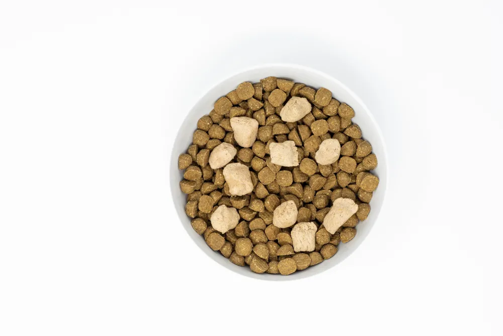 Stella & Chewy's Dry Food^Raw Blend Wholesome Grains Red Meat Recipe with Pumpkin & Quinoa Dry Dog Food, 22-lb