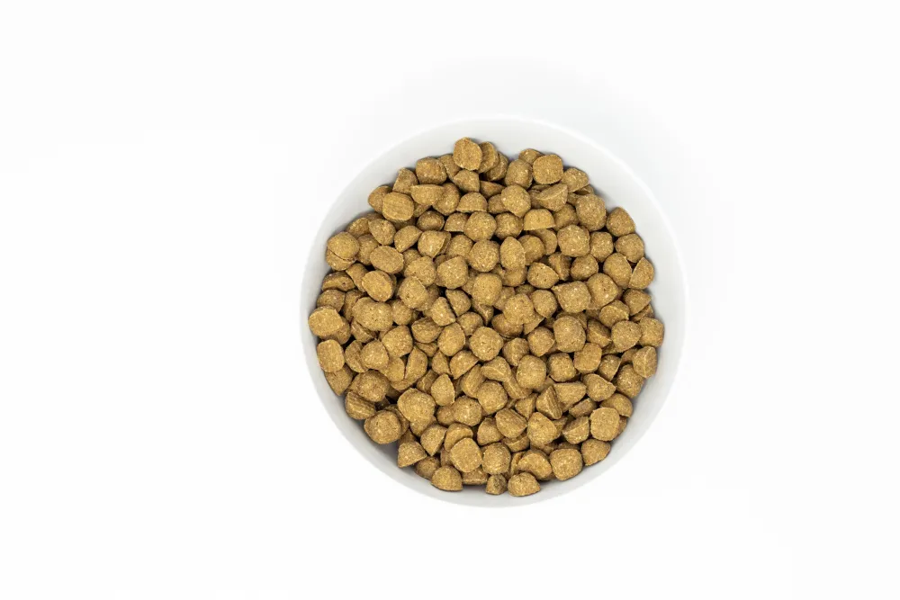 Stella & Chewy's Dry Food^Raw Coated Kibble Wholesome Grains Duck, Pumpkin & Quinoa Dry Dog Food, 3.5-lb