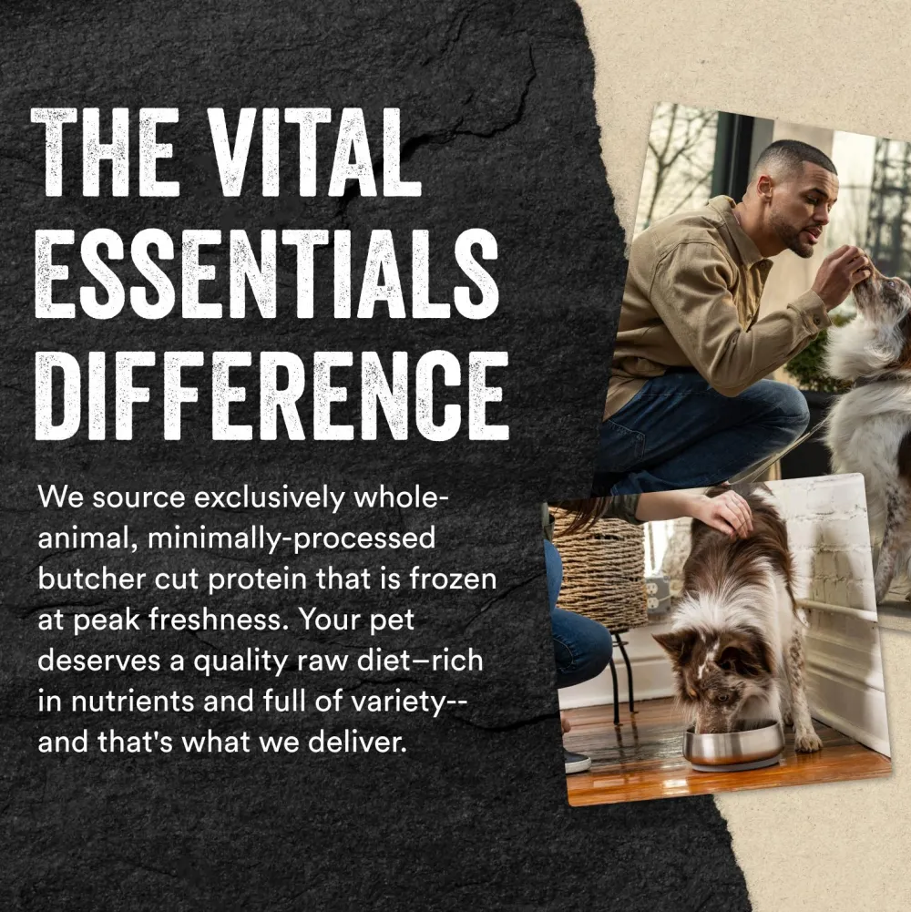 Vital Essentials Freeze-Dried Food^Beef Entree Nibs Freeze-Dried Raw Dog Food, 14-oz