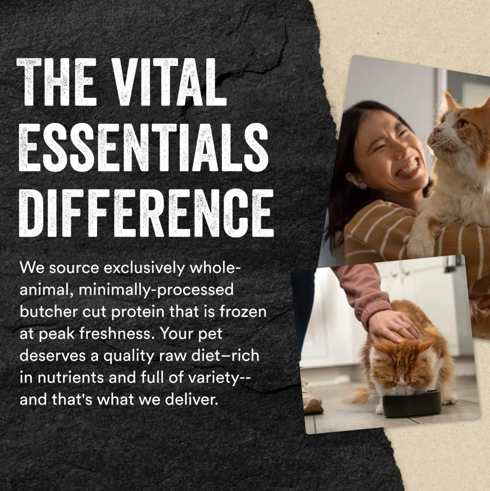 Vital Essentials Freeze-Dried Food^Duck Entree Mini Nibs Freeze-Dried Raw Cat Food, 12-oz