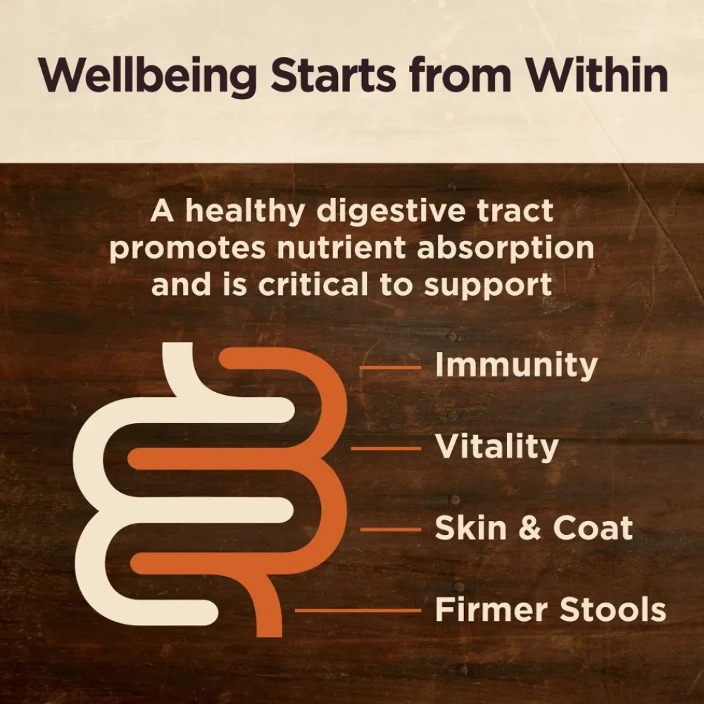 Wellness Dry Food^CORE Digestive Health Whitefish Recipe Dry Dog Food, 22-lb